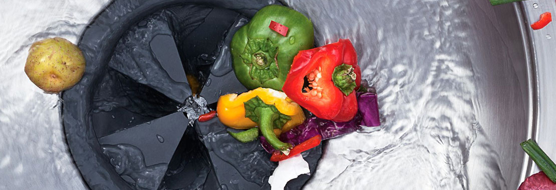 garbage disposal service fort worth tx